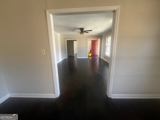 hall featuring dark hardwood / wood-style floors