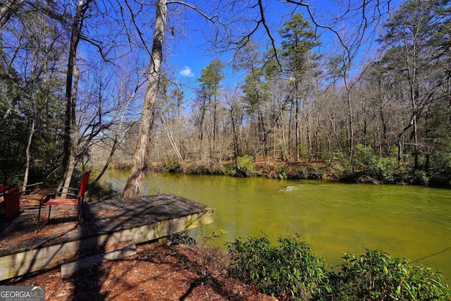 property view of water