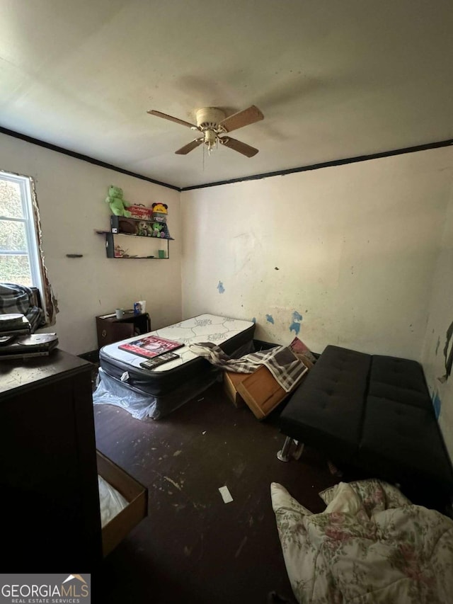 bedroom with ceiling fan