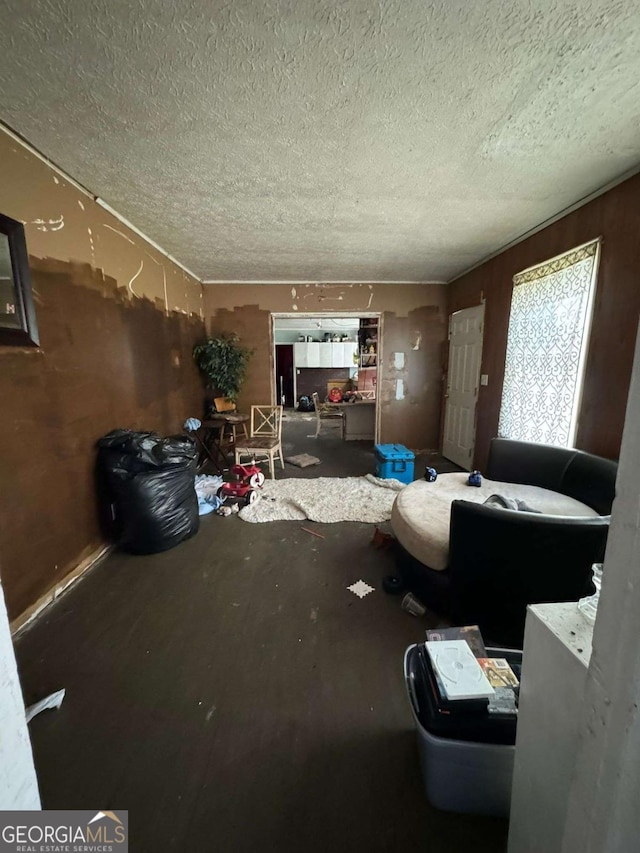 living room with a textured ceiling