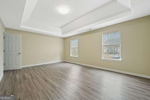 empty room featuring a raised ceiling, wood-type flooring, and a textured ceiling