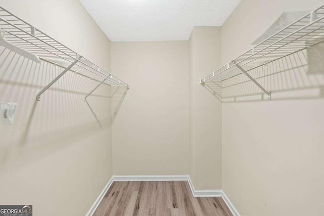 walk in closet featuring hardwood / wood-style floors