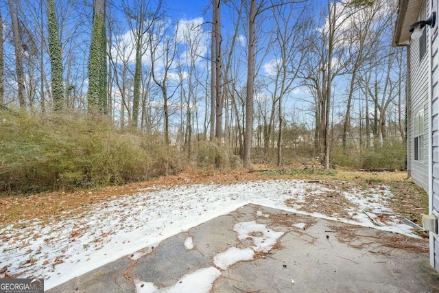 view of yard covered in snow