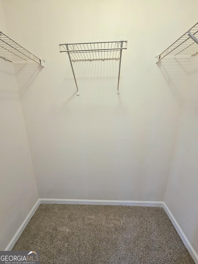 walk in closet with carpet flooring