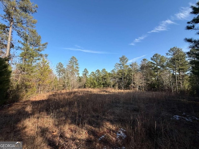 0 Hornets Bridge Dr, Elberton GA, 30635 land for sale