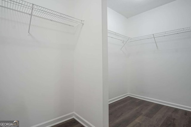 spacious closet with dark wood-type flooring