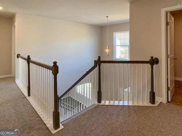 stairs with carpet flooring