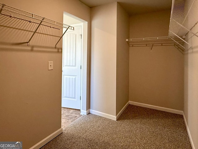 spacious closet with carpet