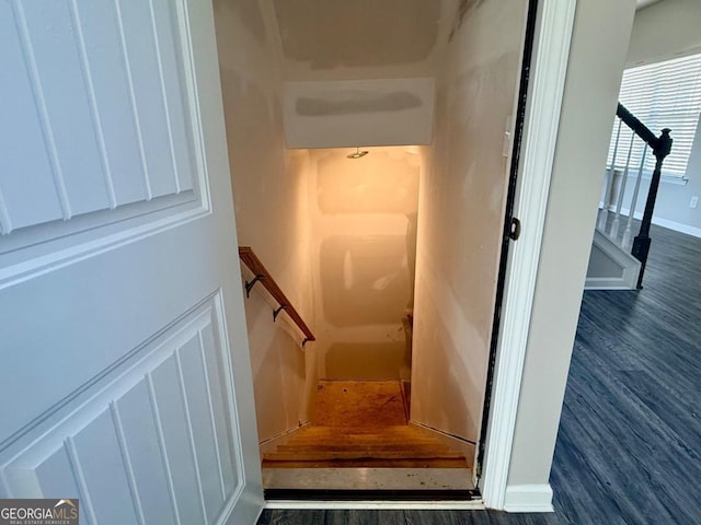 stairway featuring wood-type flooring