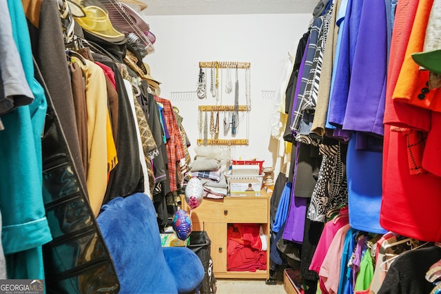 view of walk in closet