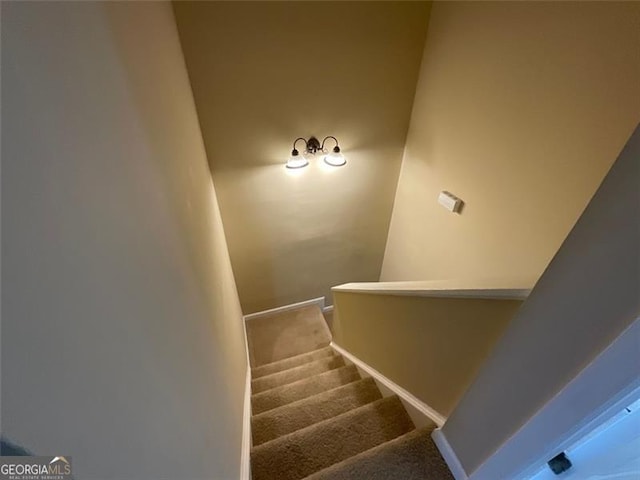 staircase featuring carpet