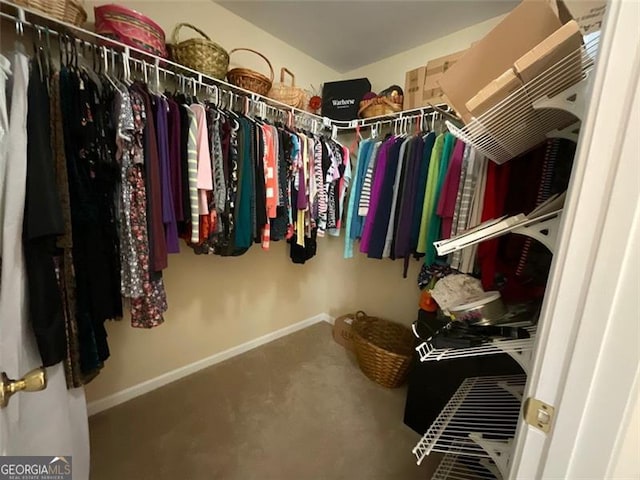 spacious closet featuring carpet flooring