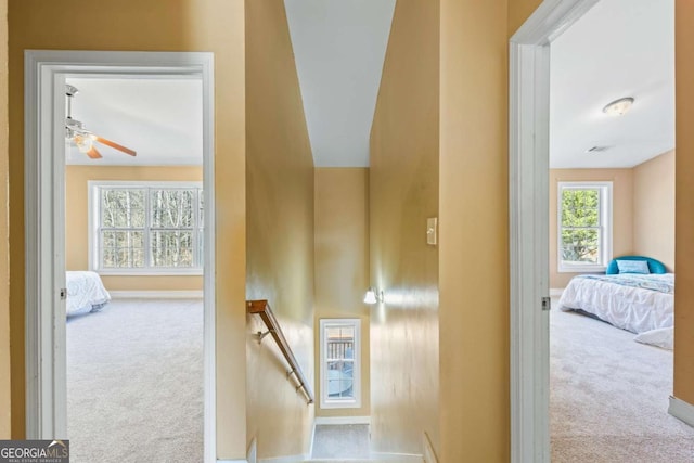 stairs with carpet floors and ceiling fan