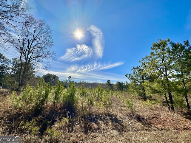 0 Douglas Creek Rd, Flovilla GA, 30216 land for sale