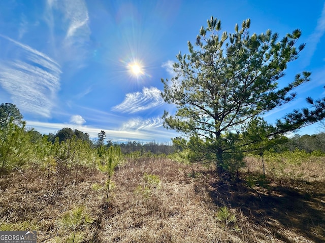 Listing photo 2 for 0 Douglas Creek Rd, Flovilla GA 30216