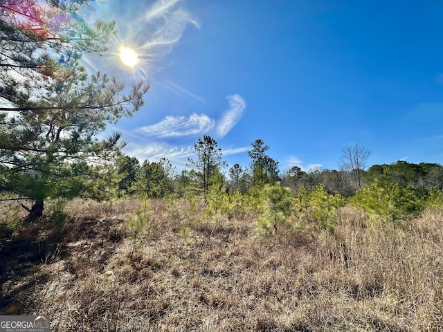 Listing photo 3 for 0 Douglas Creek Rd, Flovilla GA 30216