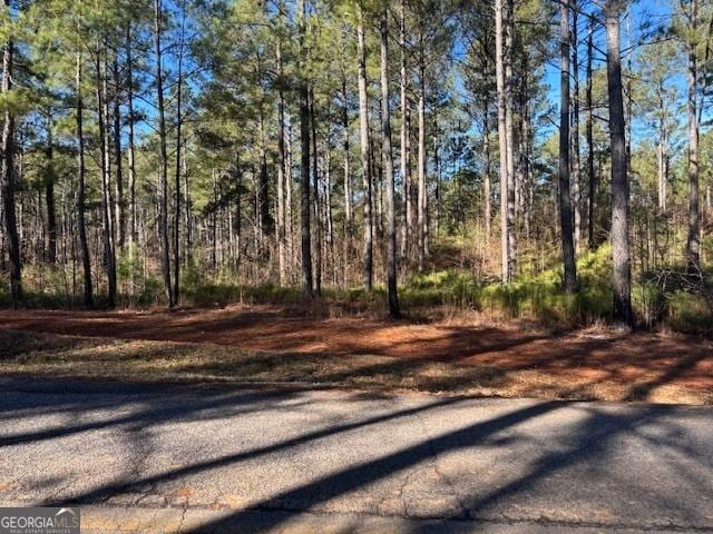 Listing photo 2 for 197 Shiloh Church Rd, Carrollton GA 30116