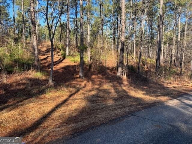 Listing photo 3 for 197 Shiloh Church Rd, Carrollton GA 30116