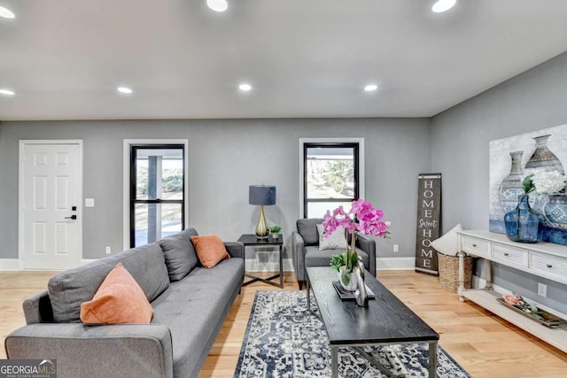 living room featuring light wood-type flooring and a wealth of natural light