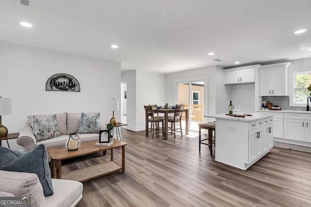 living room with sink and wood-type flooring