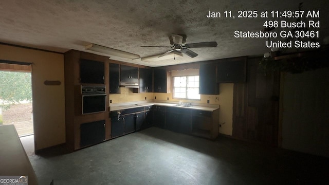 kitchen with oven, ceiling fan, and electric cooktop