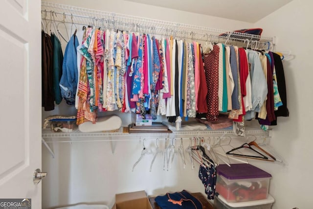 view of spacious closet