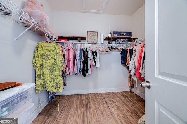 spacious closet with hardwood / wood-style flooring