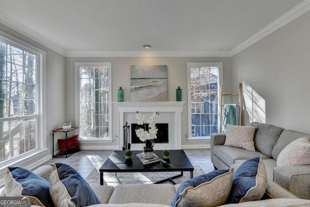 living room featuring ornamental molding and light hardwood / wood-style floors