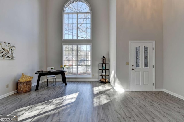 foyer with a towering ceiling and wood-type flooring