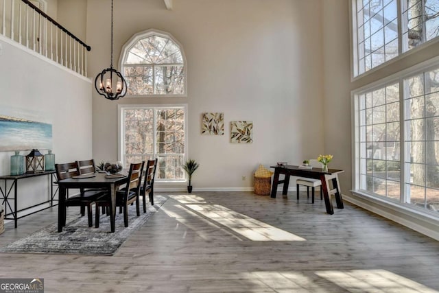 dining room with a high ceiling, wood-type flooring, and a chandelier