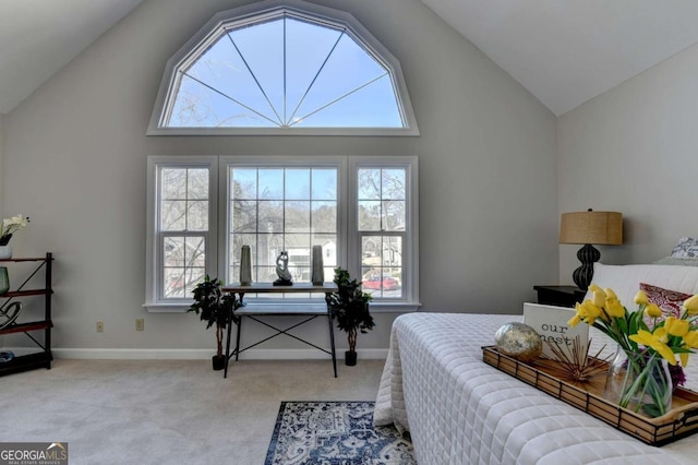 carpeted bedroom with high vaulted ceiling