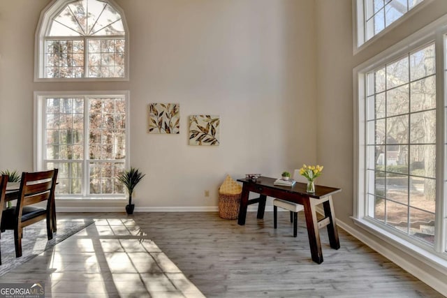 office area with a high ceiling, light hardwood / wood-style floors, and a healthy amount of sunlight