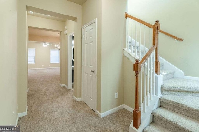 staircase with carpet floors