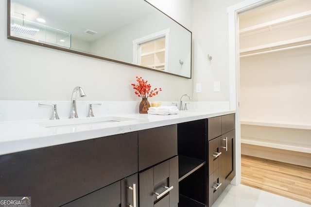 bathroom featuring wood-type flooring and vanity