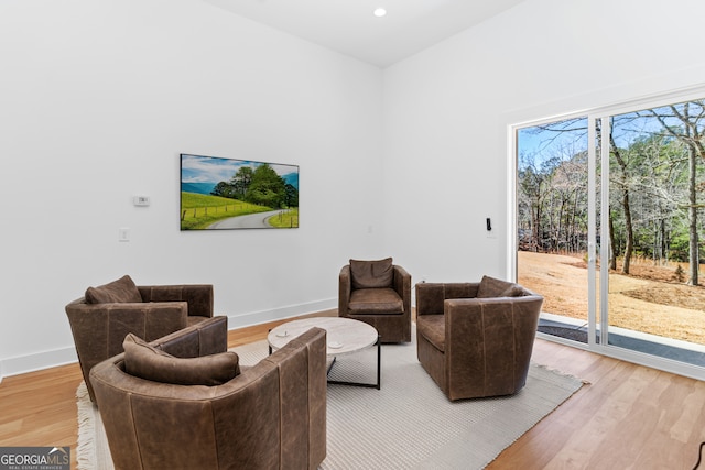 living room with light hardwood / wood-style floors