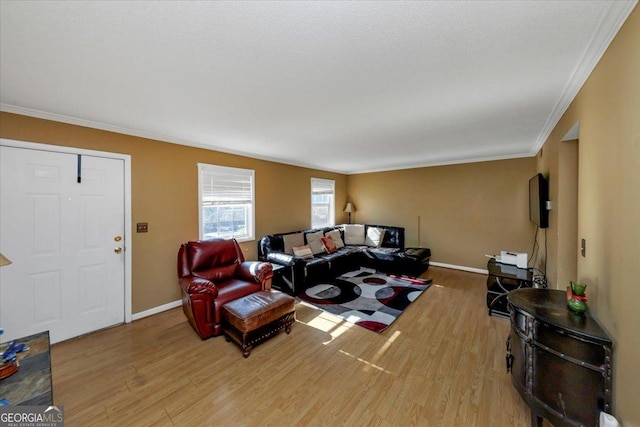 living room featuring light wood-type flooring and crown molding