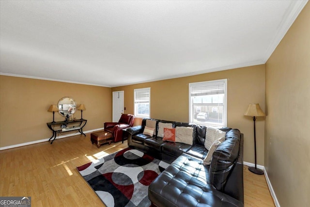 living room featuring hardwood / wood-style floors and ornamental molding