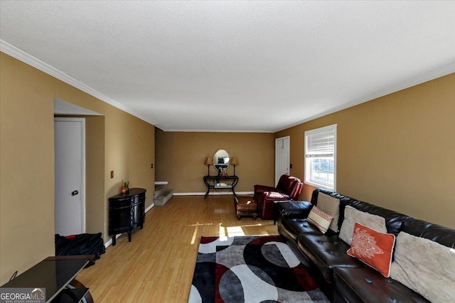 living room featuring hardwood / wood-style floors, ornamental molding, and a textured ceiling