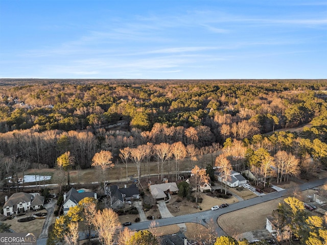 bird's eye view