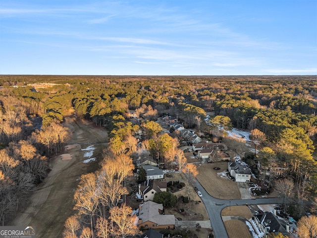 bird's eye view