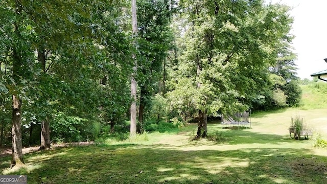 view of yard with a trampoline