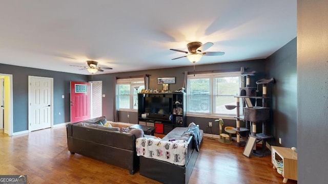 living room with ceiling fan, hardwood / wood-style floors, and a healthy amount of sunlight