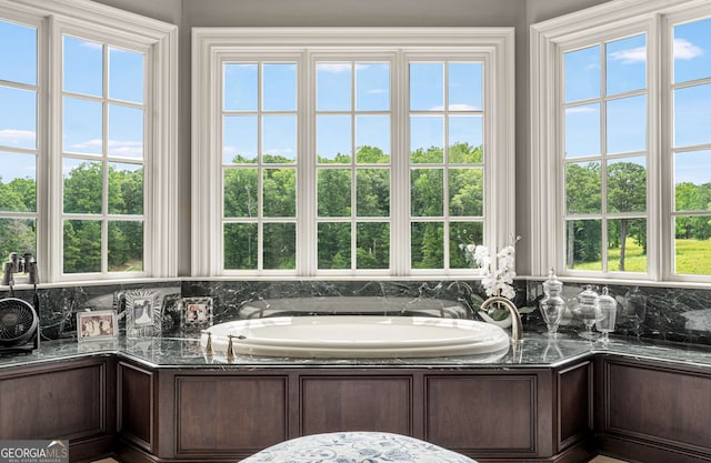 bathroom featuring a bathing tub and a wealth of natural light