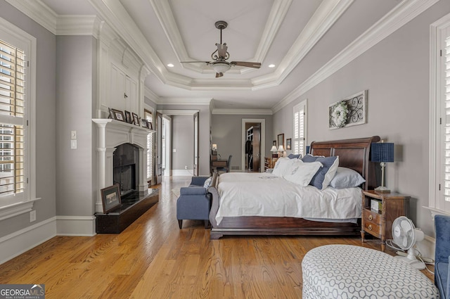 bedroom with light hardwood / wood-style flooring, ceiling fan, a spacious closet, ornamental molding, and a tray ceiling