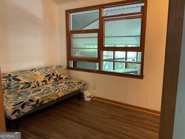 living area with dark hardwood / wood-style flooring