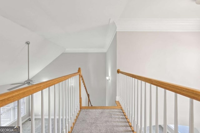 hallway with vaulted ceiling, ornamental molding, and carpet