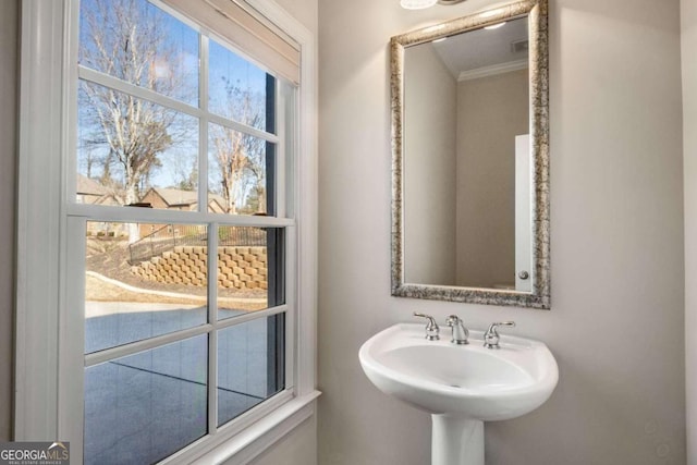 bathroom featuring sink and crown molding