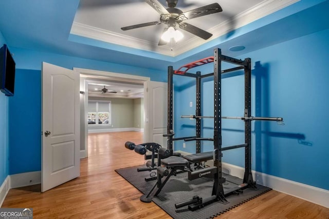 workout area with ceiling fan, ornamental molding, a raised ceiling, and wood-type flooring