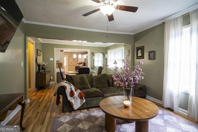 living room featuring ornamental molding, a textured ceiling, ceiling fan, and hardwood / wood-style floors