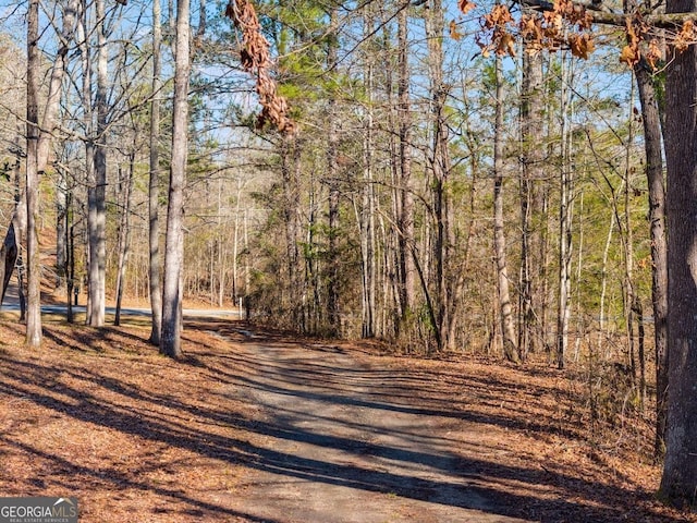 view of street with a view of trees